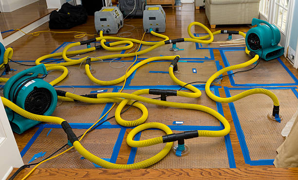 Professional Burst Pipe Water Damage technician working in Amityville, NY